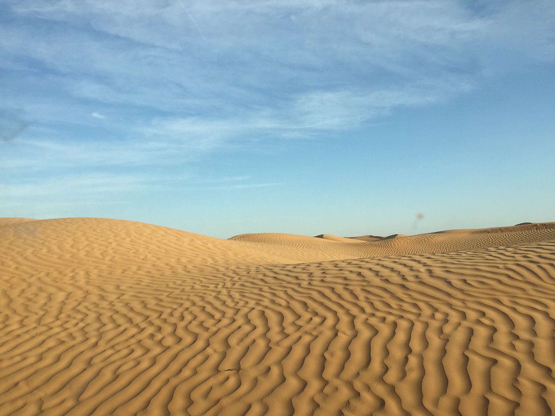 Douz sarà l'ultima tappa del viaggio con Sharewood nel deserto