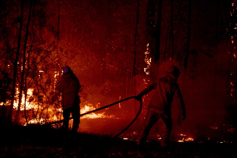 Firemen try to control the blaze in the woods around Sydney