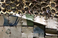 Natura, clima, e migrazioni. Cosa vedere alla Biennale d’arte di Venezia