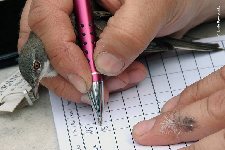 Liwia Pawłowska Wildlife photographer of the year