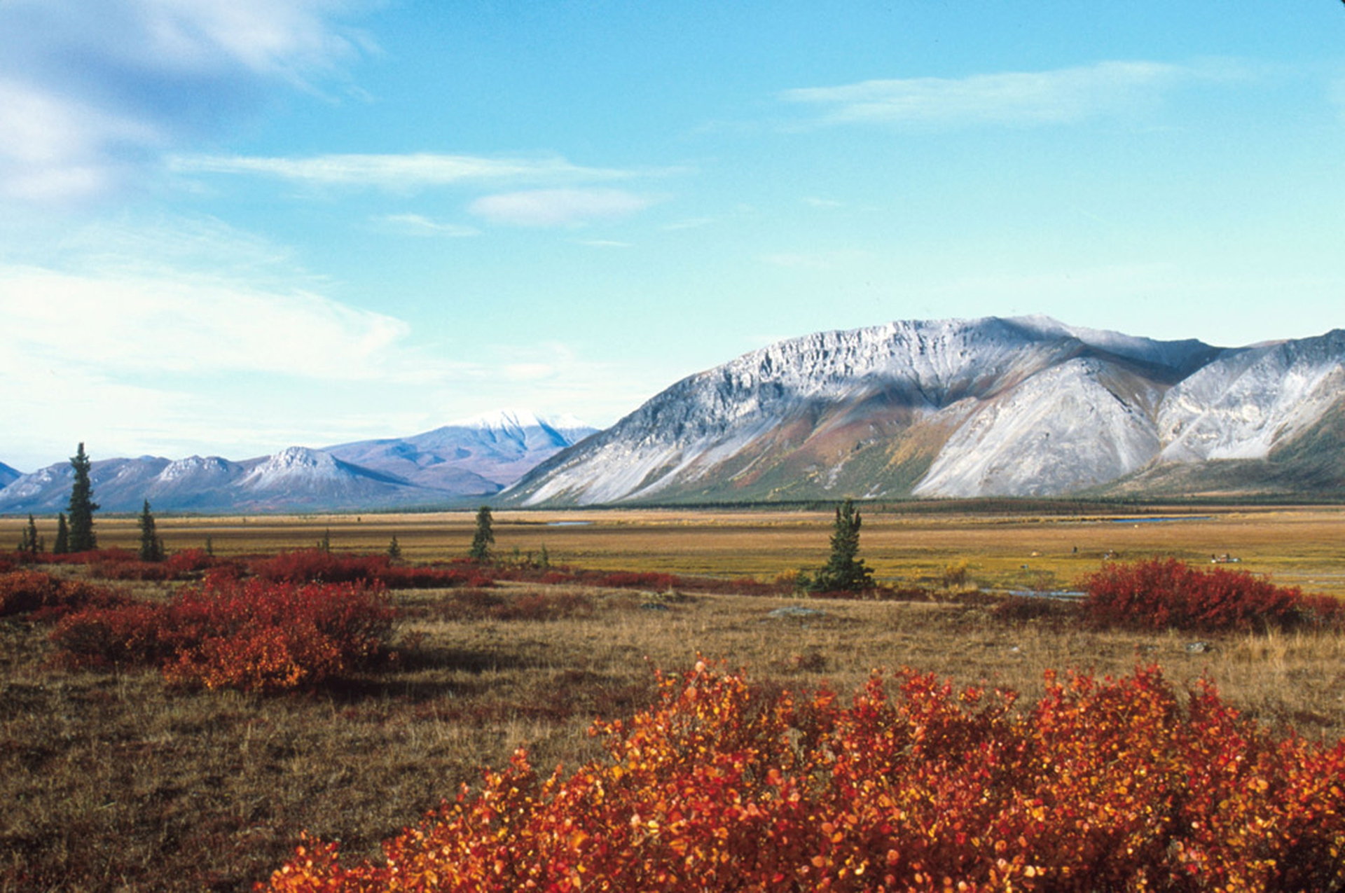 Arctic national wildlife refuge
