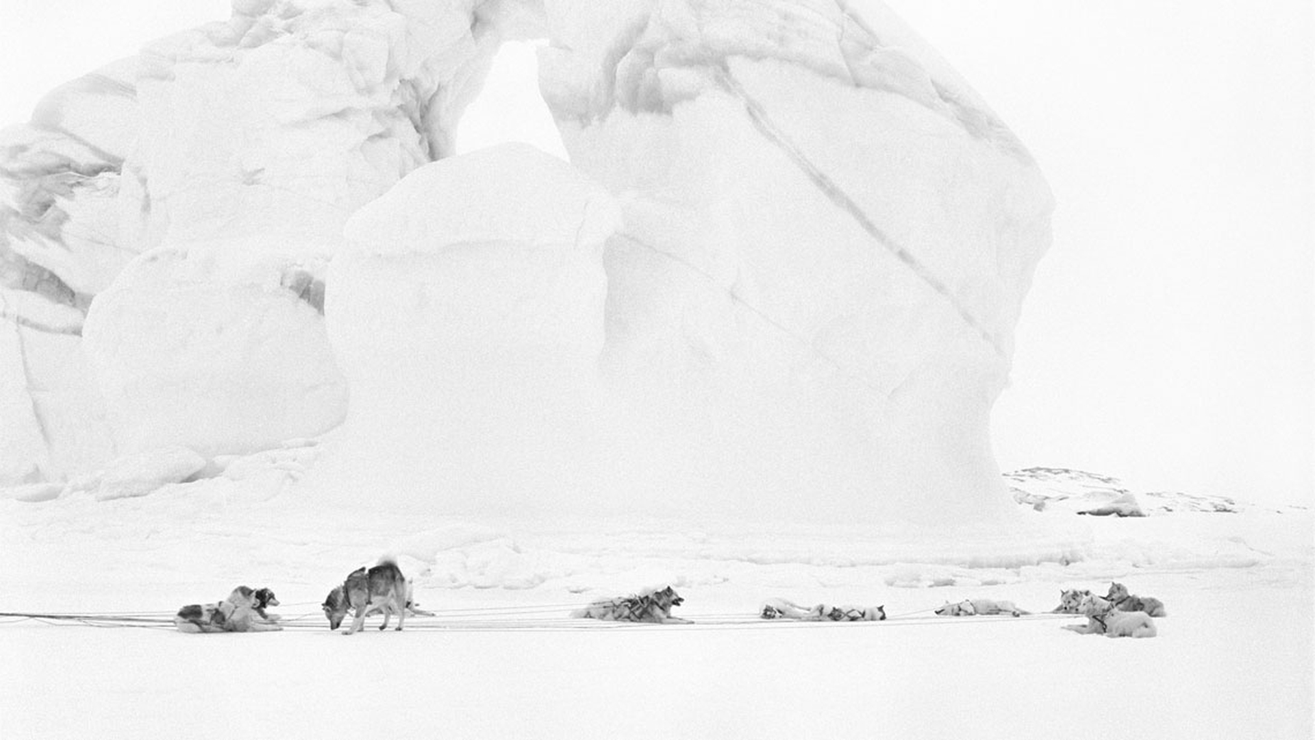 Immagini della mostra Artico, ultima frontiera