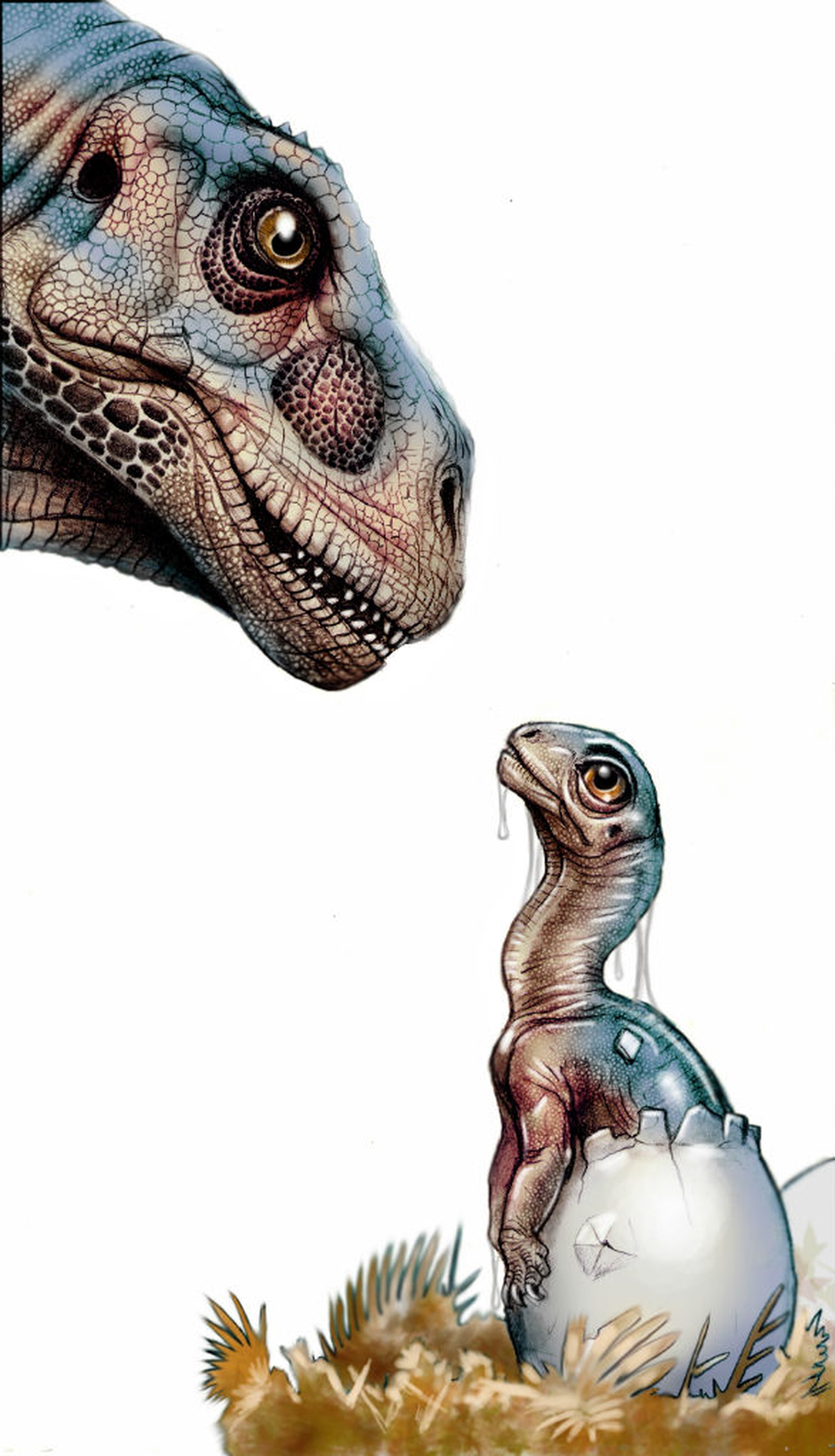 Dinosauri giganti dell'Argentina in mostra a Padova