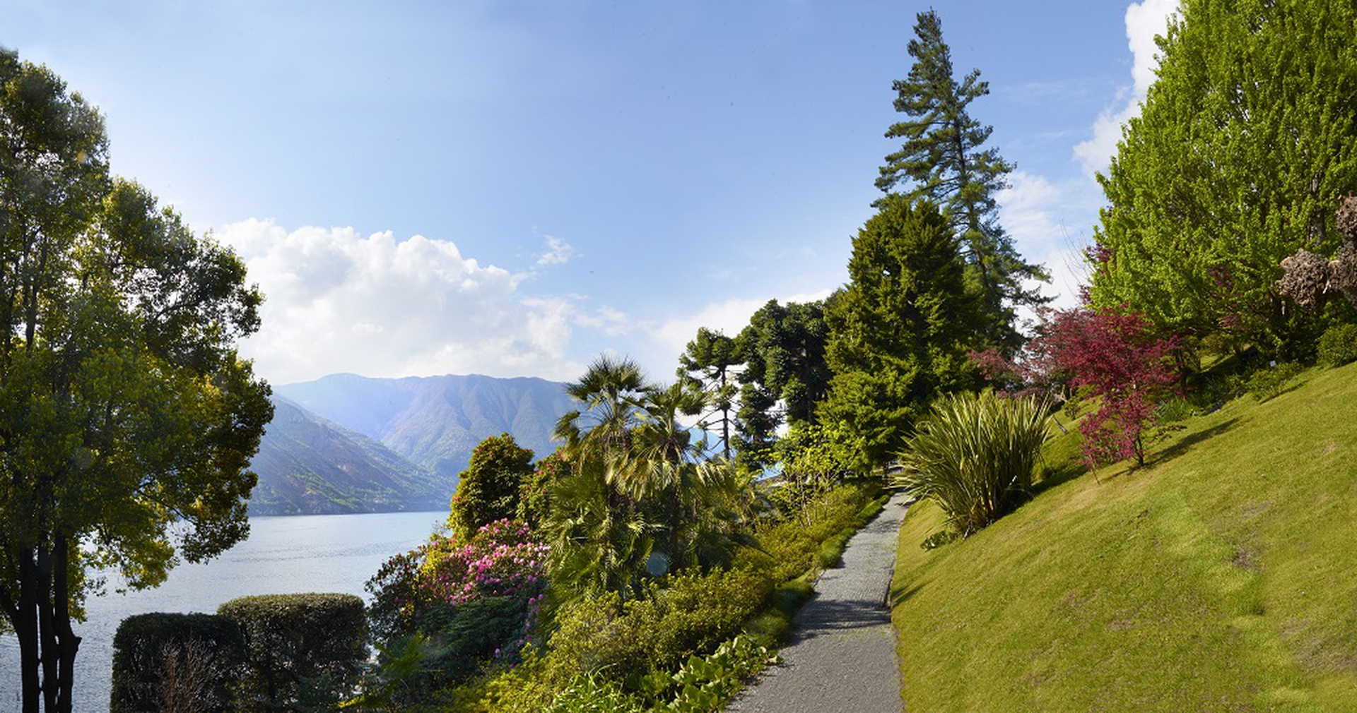 Villa Carlotta, l'orto Botanico e il suo vialetto