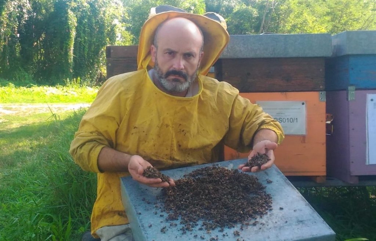 Edoardo Mombelli apicoltore