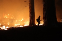 California, l’incendio di Caldor continua a espandersi. Sfollate migliaia di persone