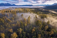 La Tasmania va a fuoco, a rischio le foreste millenarie