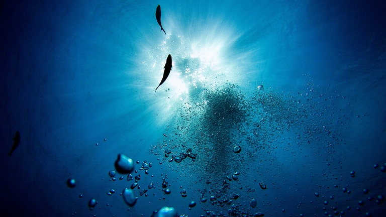 oceani e Mediterraneo