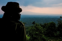 Congo, 13 ranger uccisi in un attacco nel parco nazionale di Virunga