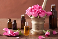Oli vegetali nella cosmesi, tutto quello che c’è da sapere più qualche curiosità