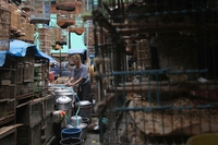 Coronavirus and wildlife, can zoonotic diseases decimate the illegal trade in wild animals?