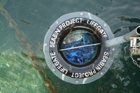 Il Seabin di LifeGate PlasticLess arriva a Favignana, nell’Area marina protetta delle Egadi