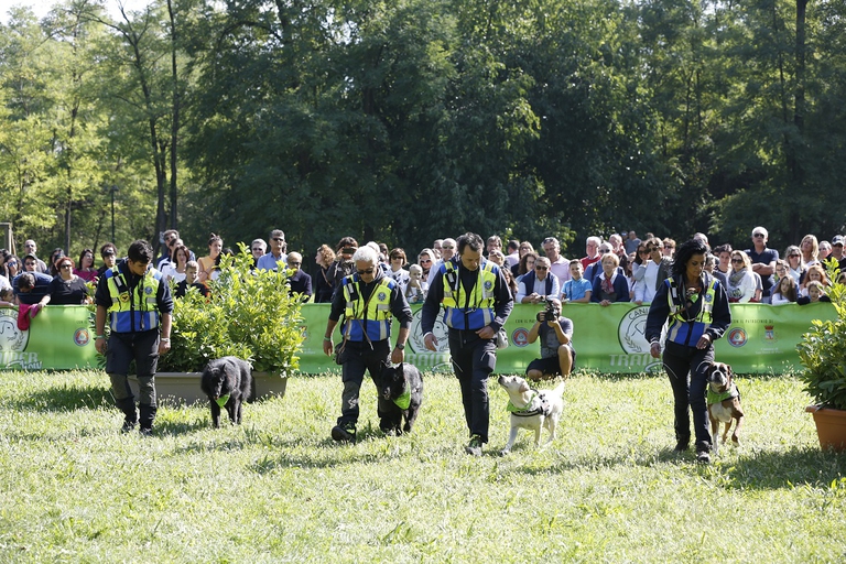 Trainer Cani Eroi Show 2017