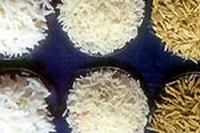 Globalizzazione alimentare: il riso