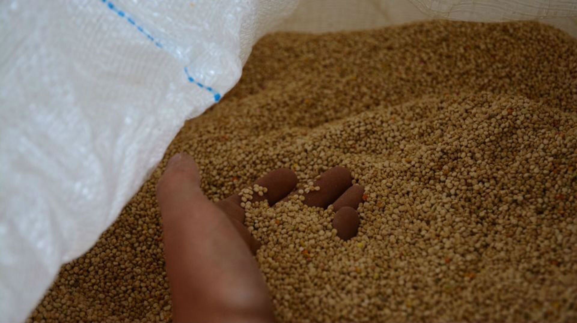 Happy Family Biocycling in Bolivia