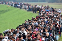 There are 65 million displaced people worldwide. 2015 broke all records