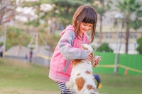 Regno Unito: se è un cane o un gatto a insegnare, gli studenti sono più bravi