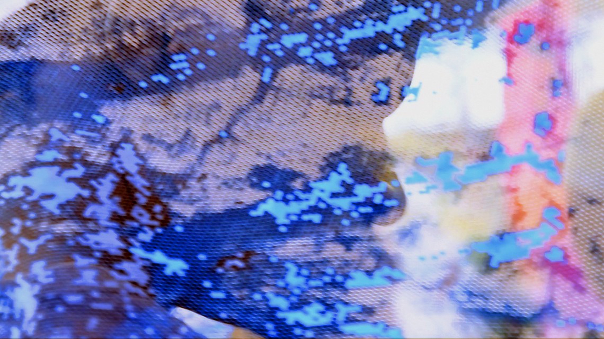 Screen-Shot-2018-06-19-at-9.49.04-AM