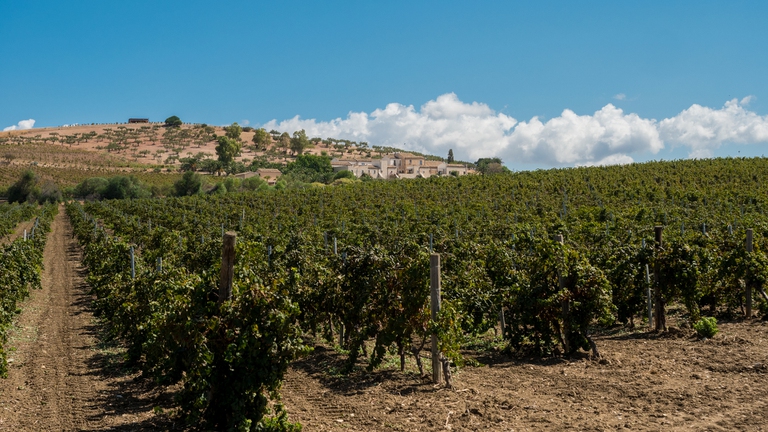 firriato, agro trapanese