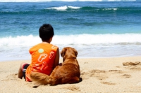 Con il cane in vacanza: dove andare, come organizzarsi