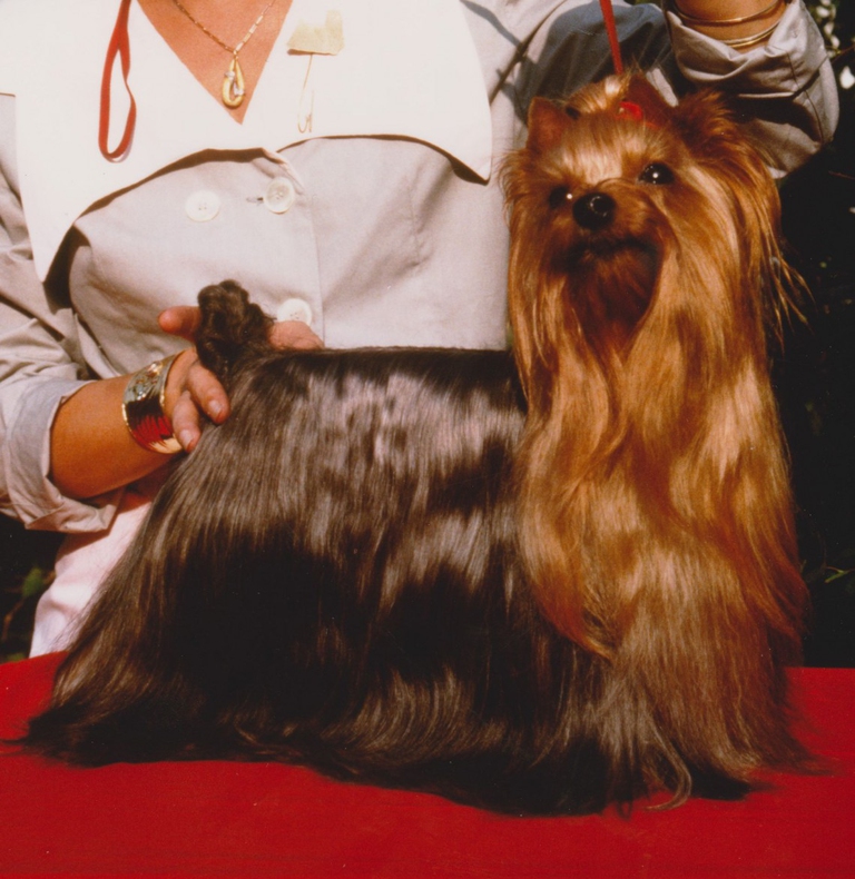 2 Ch. Mondiale Falpalà Delle Antiche Mura