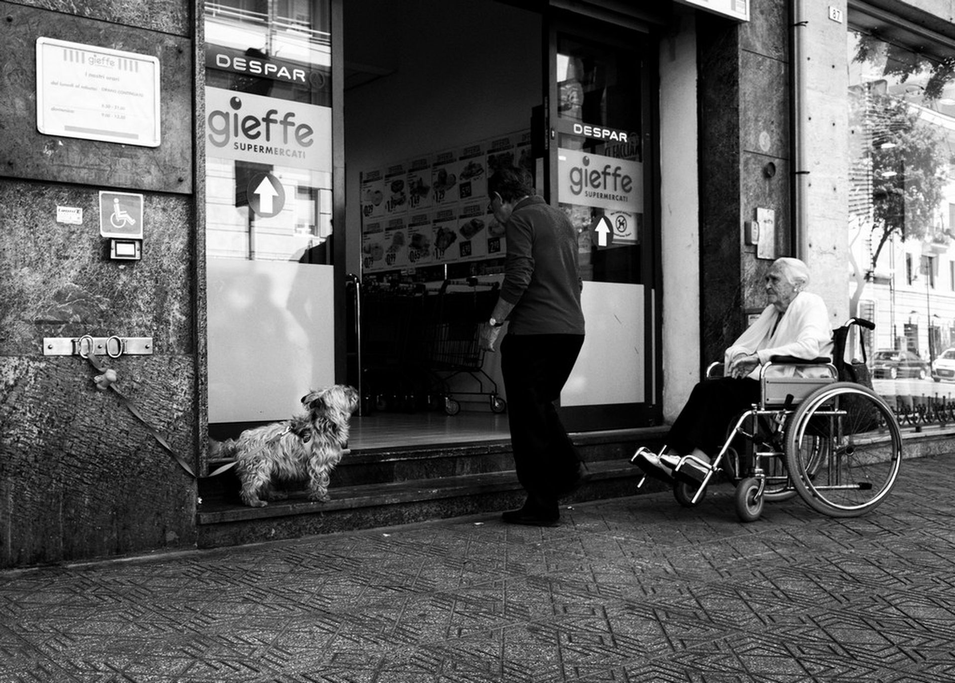 Contrasti - Servizi. Senza titolo di Giorgio Plaisant