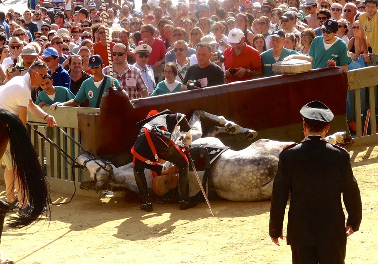 Cavallo a terra al palio di Siena