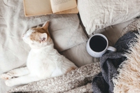 Vivere hygge: abbracciare la felicità alla danese