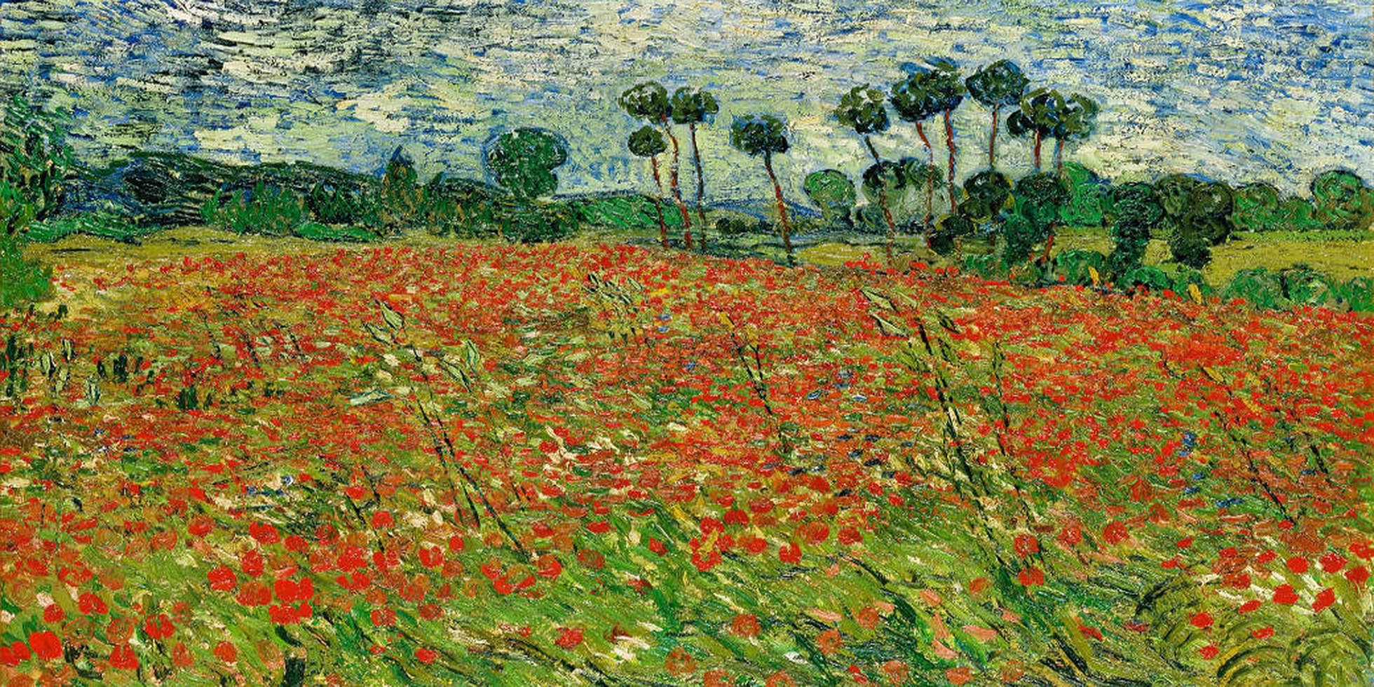 Campo Di Papaveri Van Gogh Wikipedia