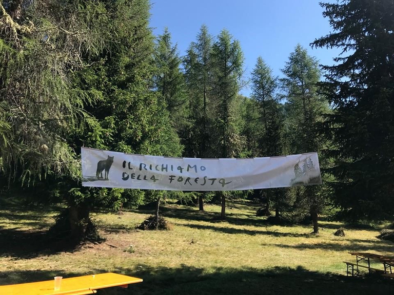 Richiamo della foresta