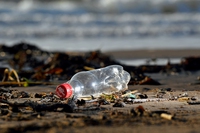 Quanto costa l’inquinamento da plastica nei mari