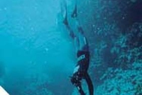 Apnea e meditazione