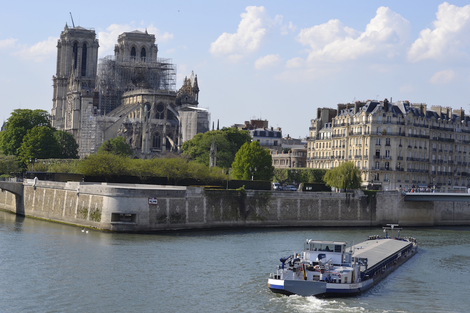 La cattedrale di Notre Dame a Parigi dopo il rogo10