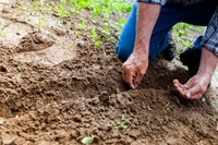 Cos’è la biodiversità alimentare e perché è a rischio