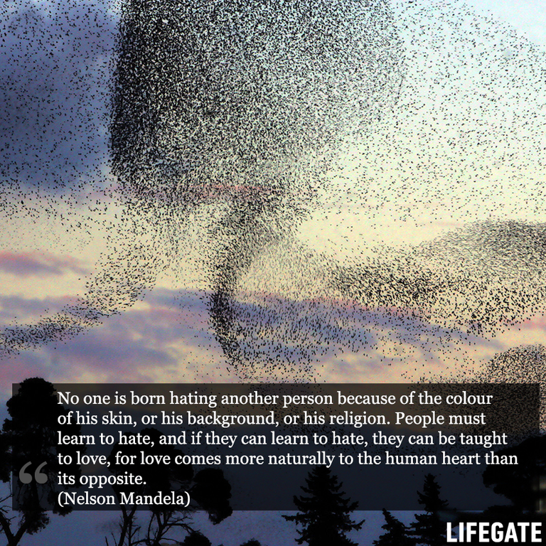 nelson mandela quotes