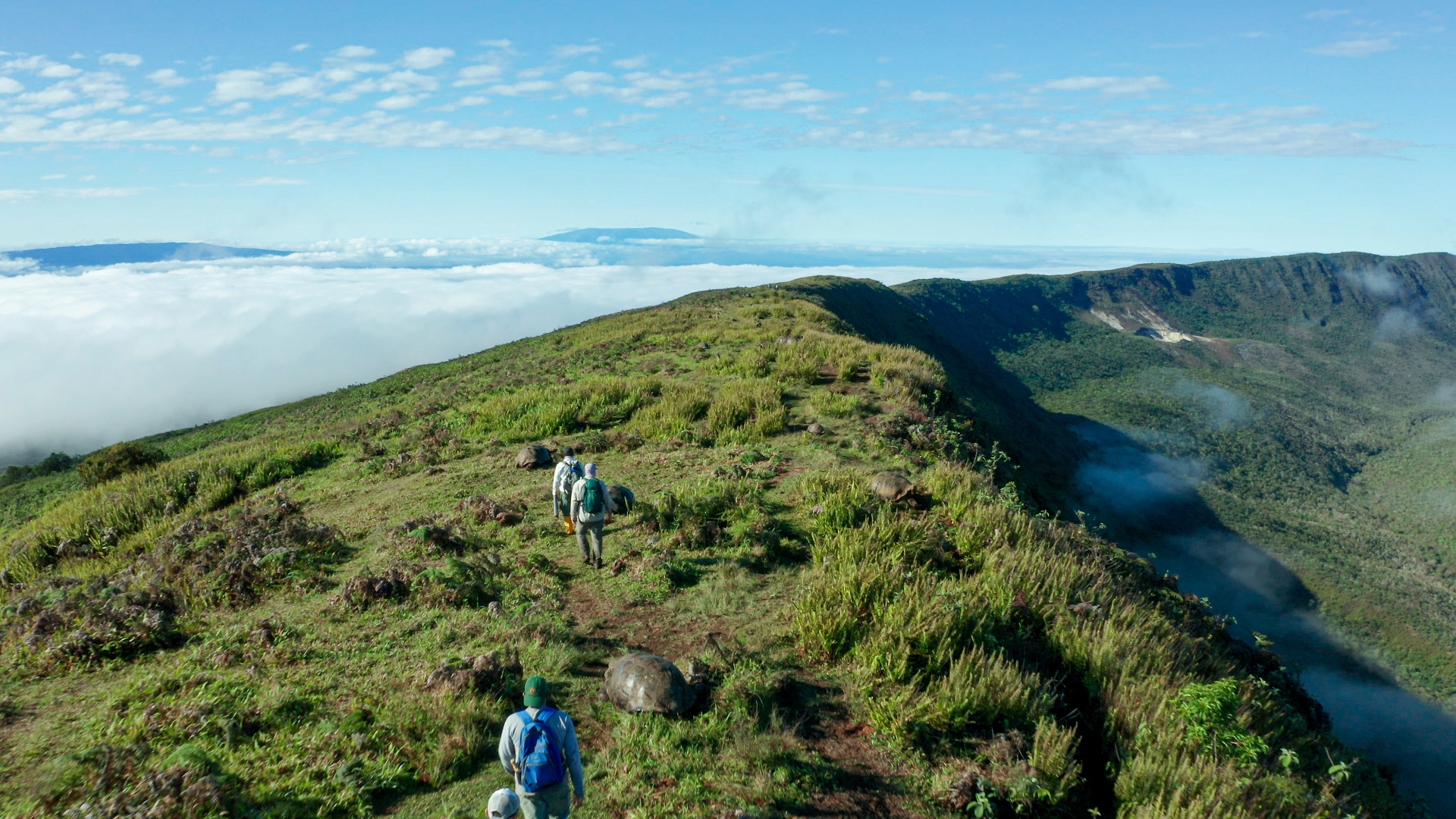 Vulcano Alcedo, Galapagos