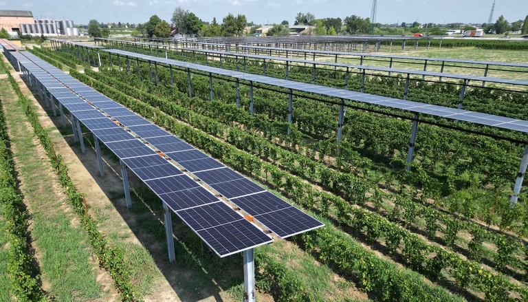 Caviro ha inaugurato a Forlì il più grande impianto agrivoltaico avanzato d'Italia © Caviro