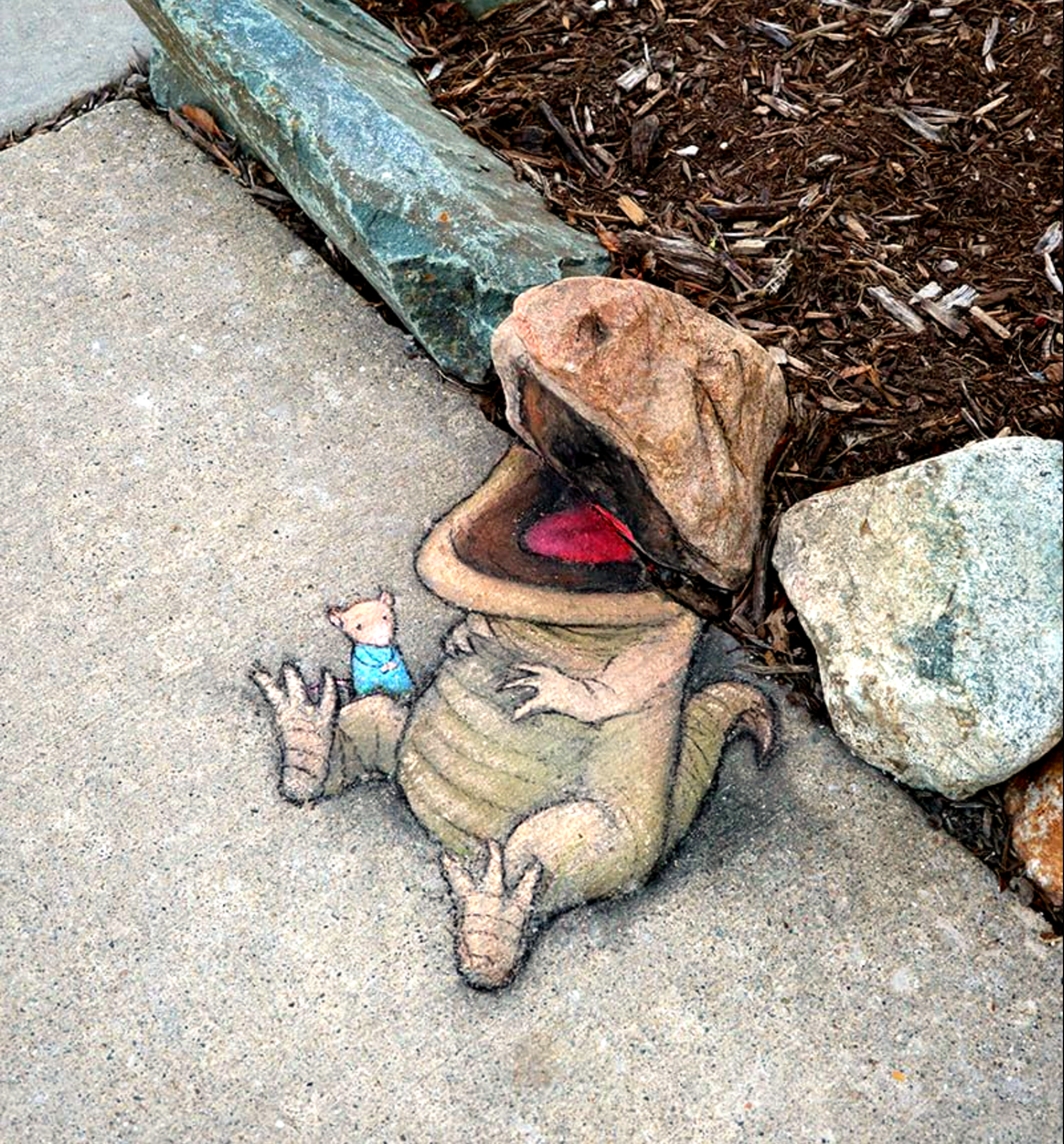 Vedere un dinosauro in un sasso © David Zinn