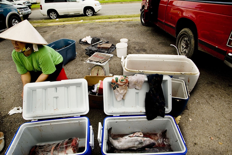 La comunità vietnamita di New Orleans, composta principalmente da pescatori, ha subito le conseguenze economiche della fuoriuscita di petrolio.   New Orleans, 2010. ©Giada Connestari
