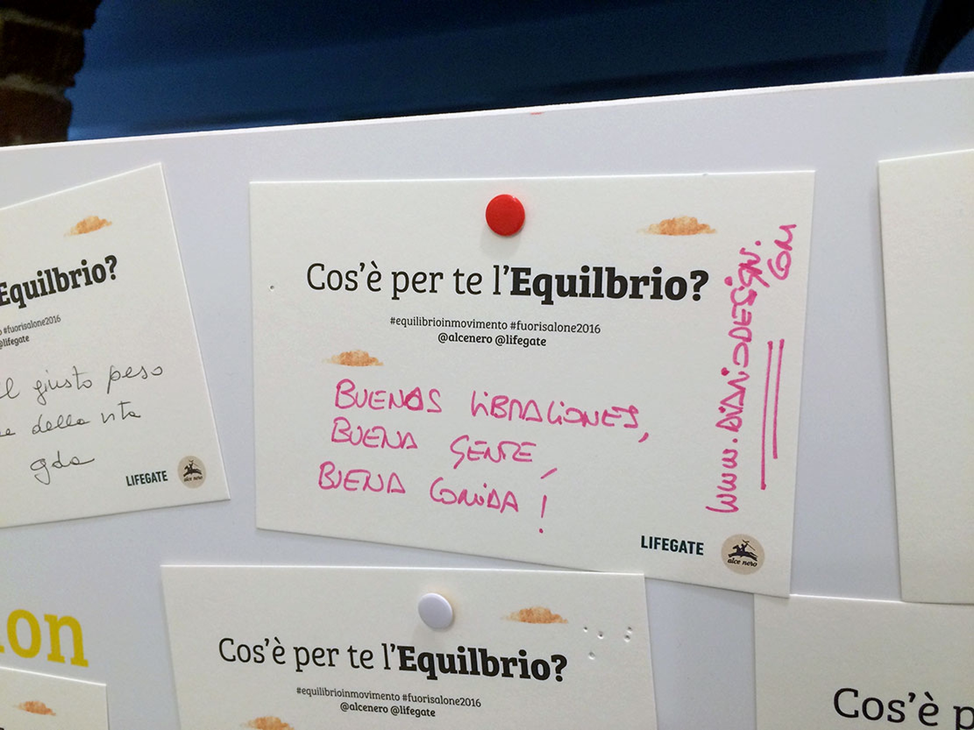 equilibrio-alce-nero-lifegate