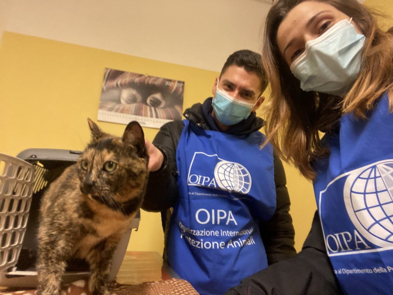 voontari oipa con gatta