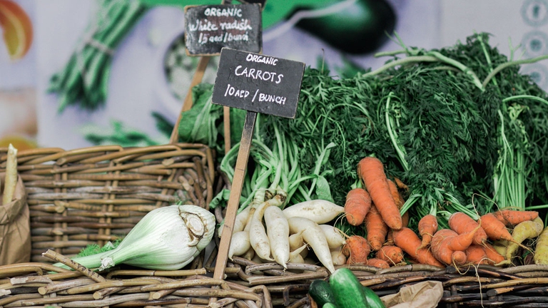 In numerose città iniziano a imporsi mercati contadini, gruppi d’acquisto solidale e punti vendita di cibo locale, naturale e tipico