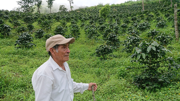 Altromercato, commercio equo e solidale