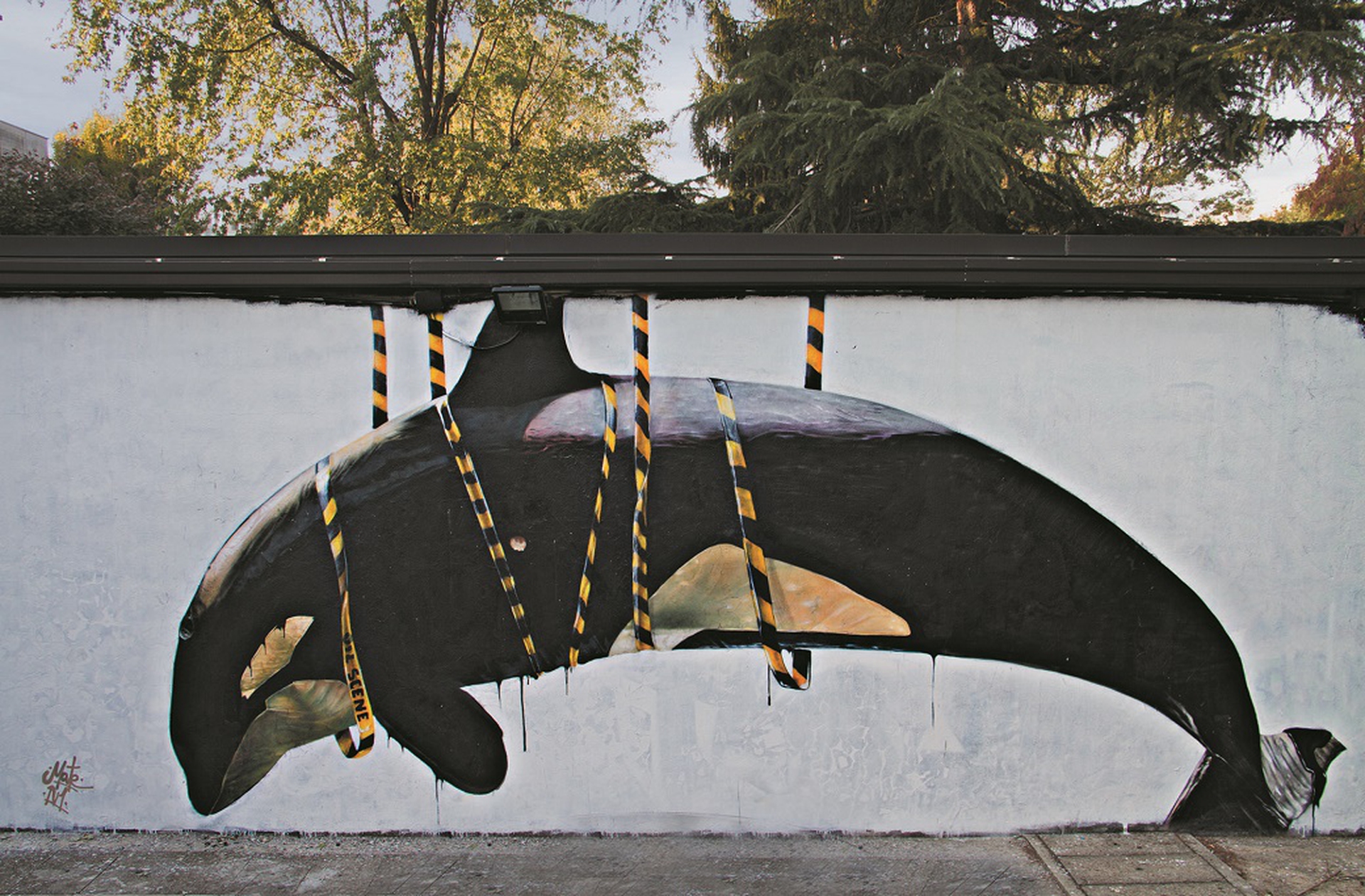 L'arte di Mate in via Carlo Jannozzi 14, San Donato Milanese