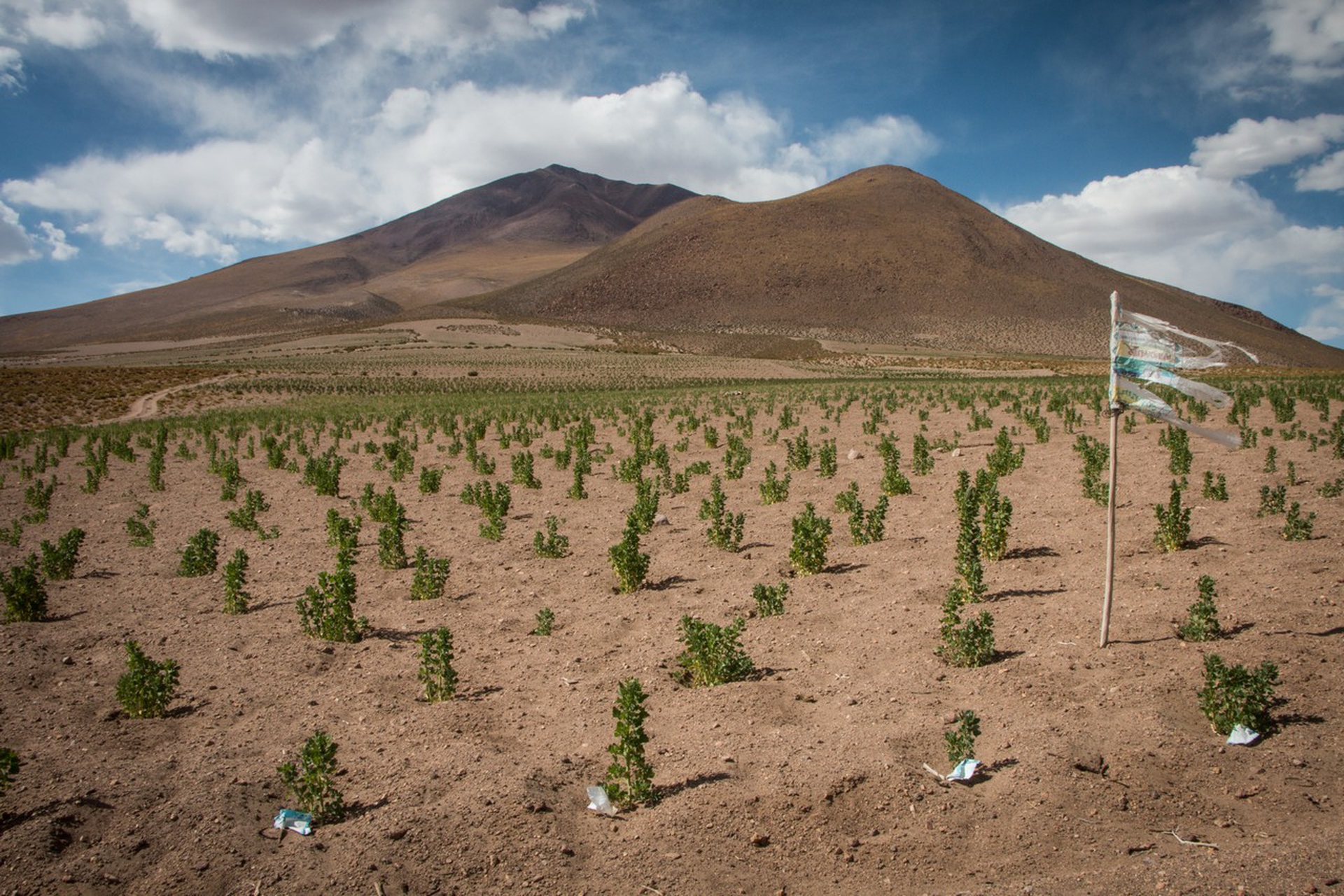 Cambiamenti climatici in Perù, domenica a Presadiretta su Raitre