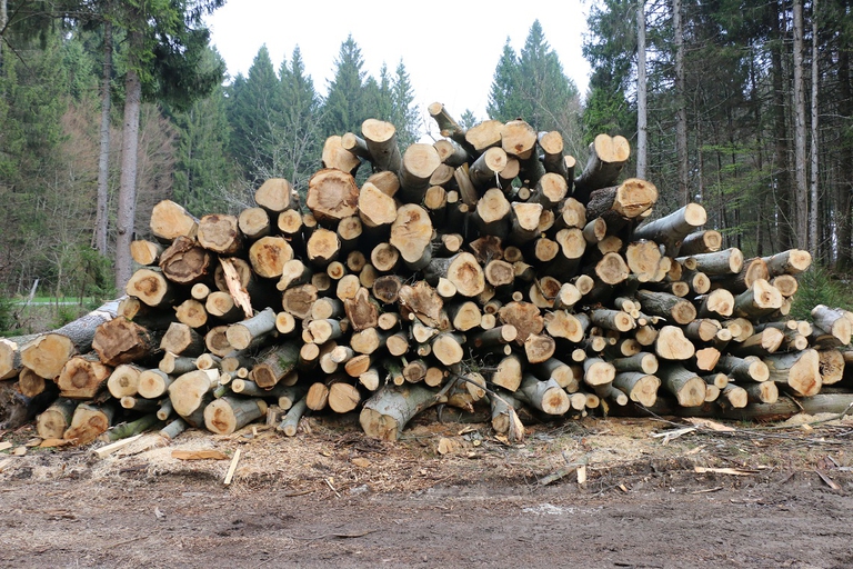 Legname certificato Fsc