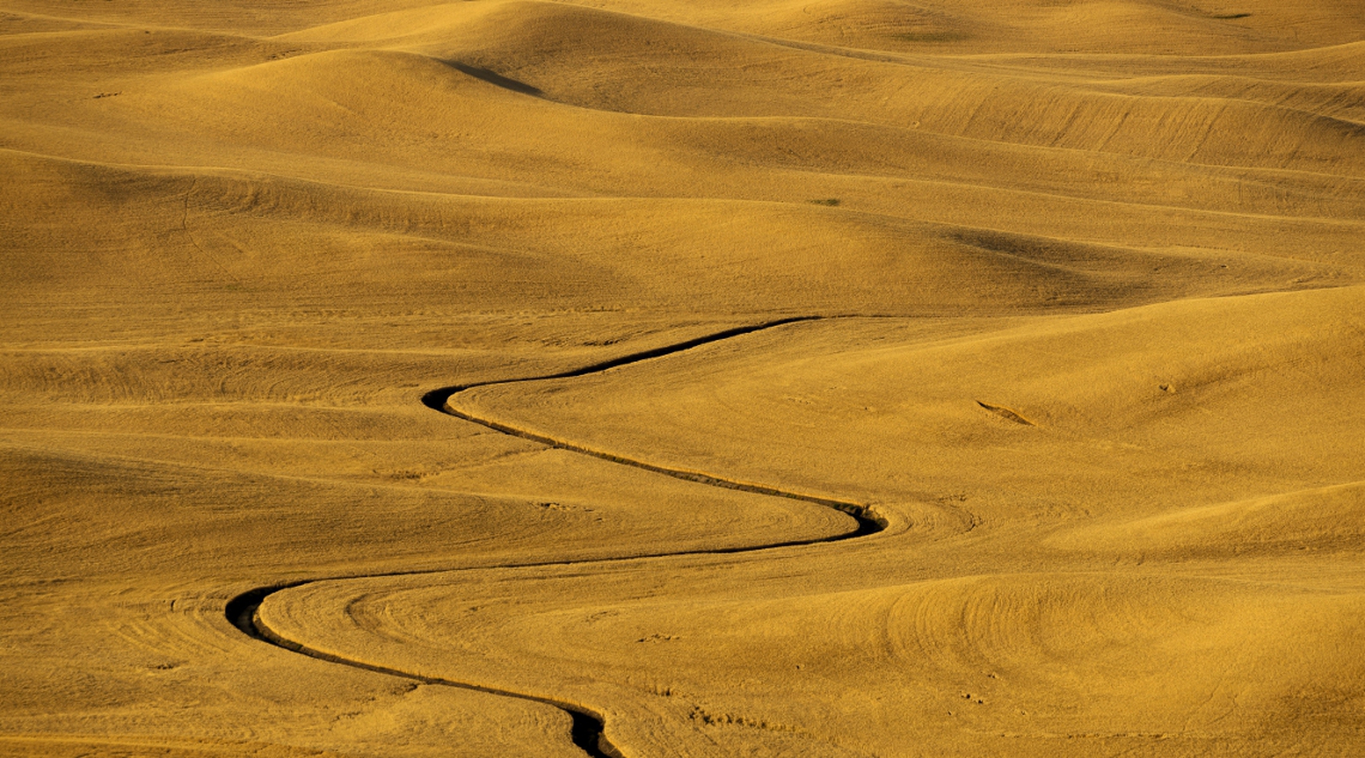 Wheat monoculture © Jean-Philippe Delobelle/Corbis