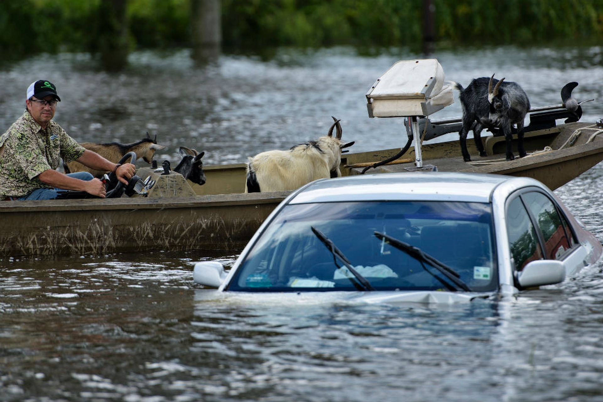 Cosa è successo in Louisiana