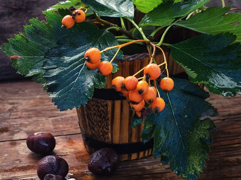 decorazioni casa autunno