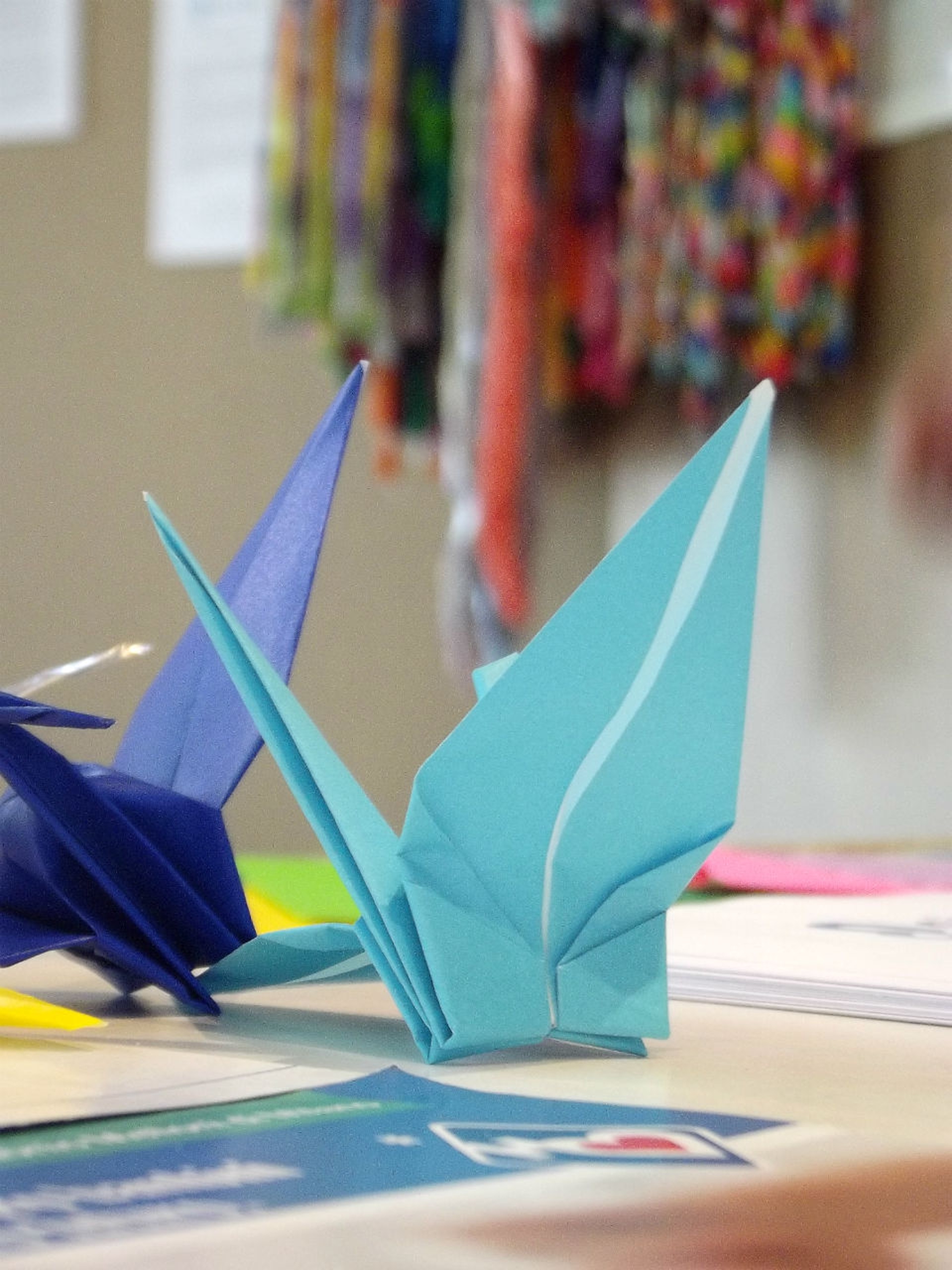 Sharing design. La creatività è green e condivisa